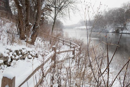 the riverpath, covered by snow, with the split rail fence and winter seed heads by the river. beautiful