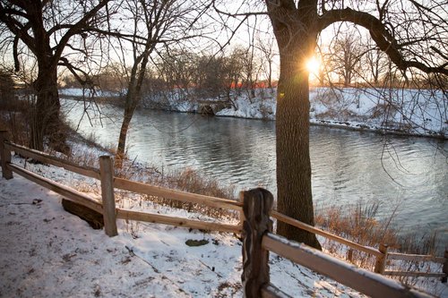 sunset behind a tree along the bank. the sun reflects off the snow