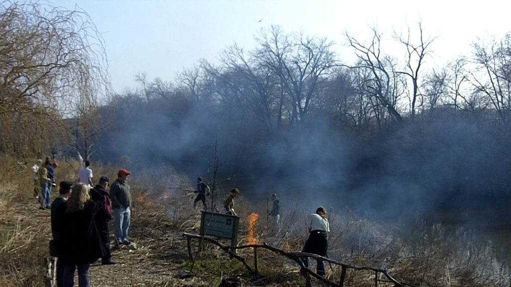 photos of the controlled burn